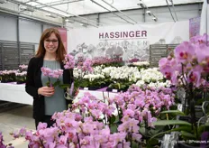 Jasmin Hassinger of Hassinger Orchideen presenting the Nui6, a new variety for 6,9,12cm pot. It is multifunctional, has big flowers that ‘look at you’, they branch well, is productive and healthy. So, the complete package, says Hassinger.